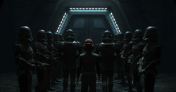 Purge-Troopers-Barriss-Offee