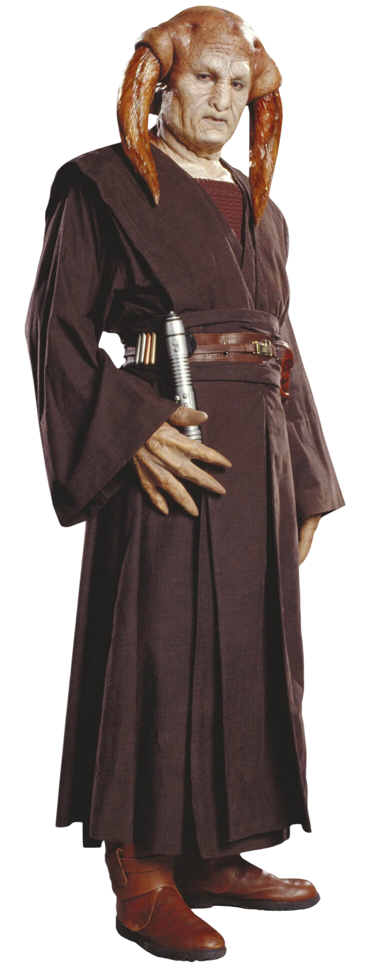 Iktotchi appearance 