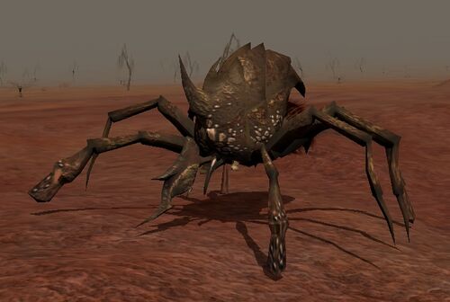 Shear mite