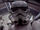 Unidentified 501st stormtrooper