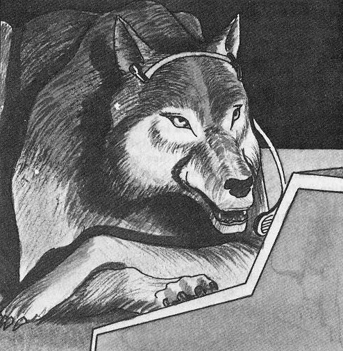 Wilk (wolf) appearance 