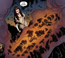 LeiaVader-BattleOfJakkuInsurgencyRising1