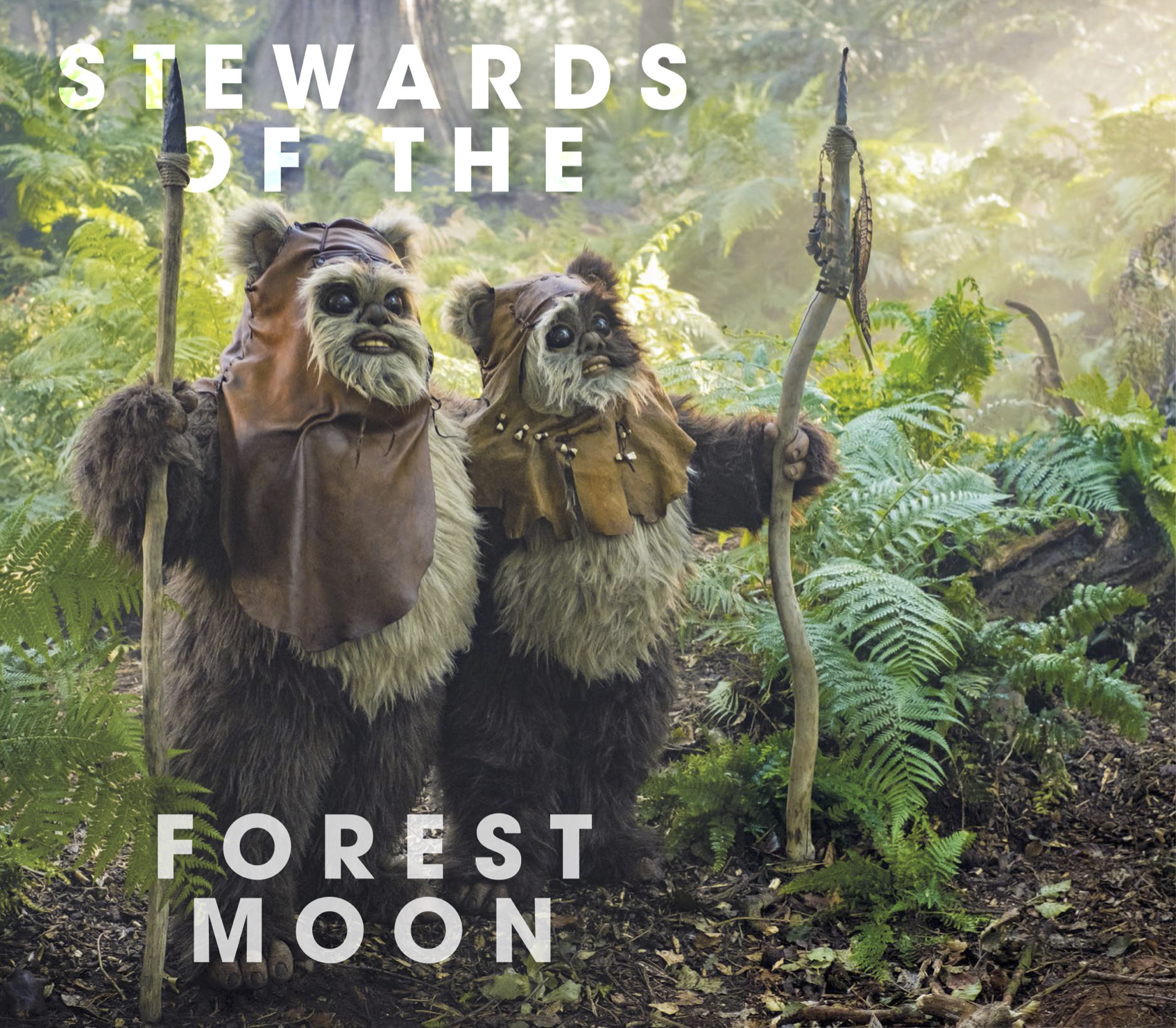 Stewards of the Forest Moon appearance in Common Appearance