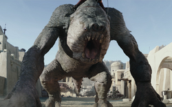 Unidentified-rancor-TBoBF