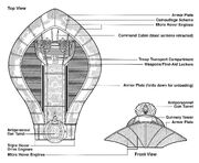 Amphibian egvv