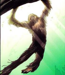 Chewbacca 004