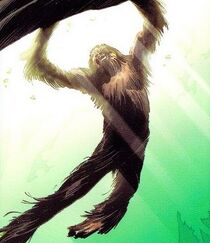 Chewbacca 004