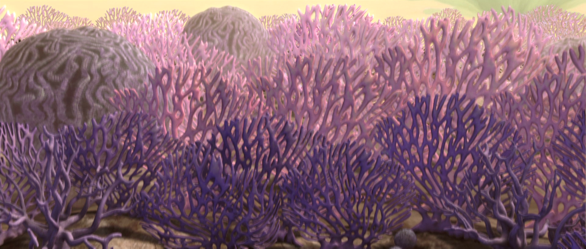 Rugosa's coral forests