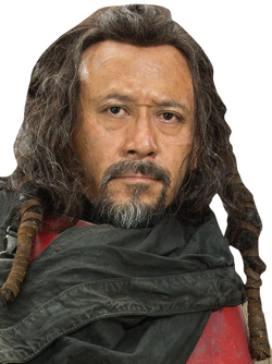 Baze Malbus