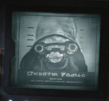 Το εγκληματικό προφίλ του/της Ντοζίτο