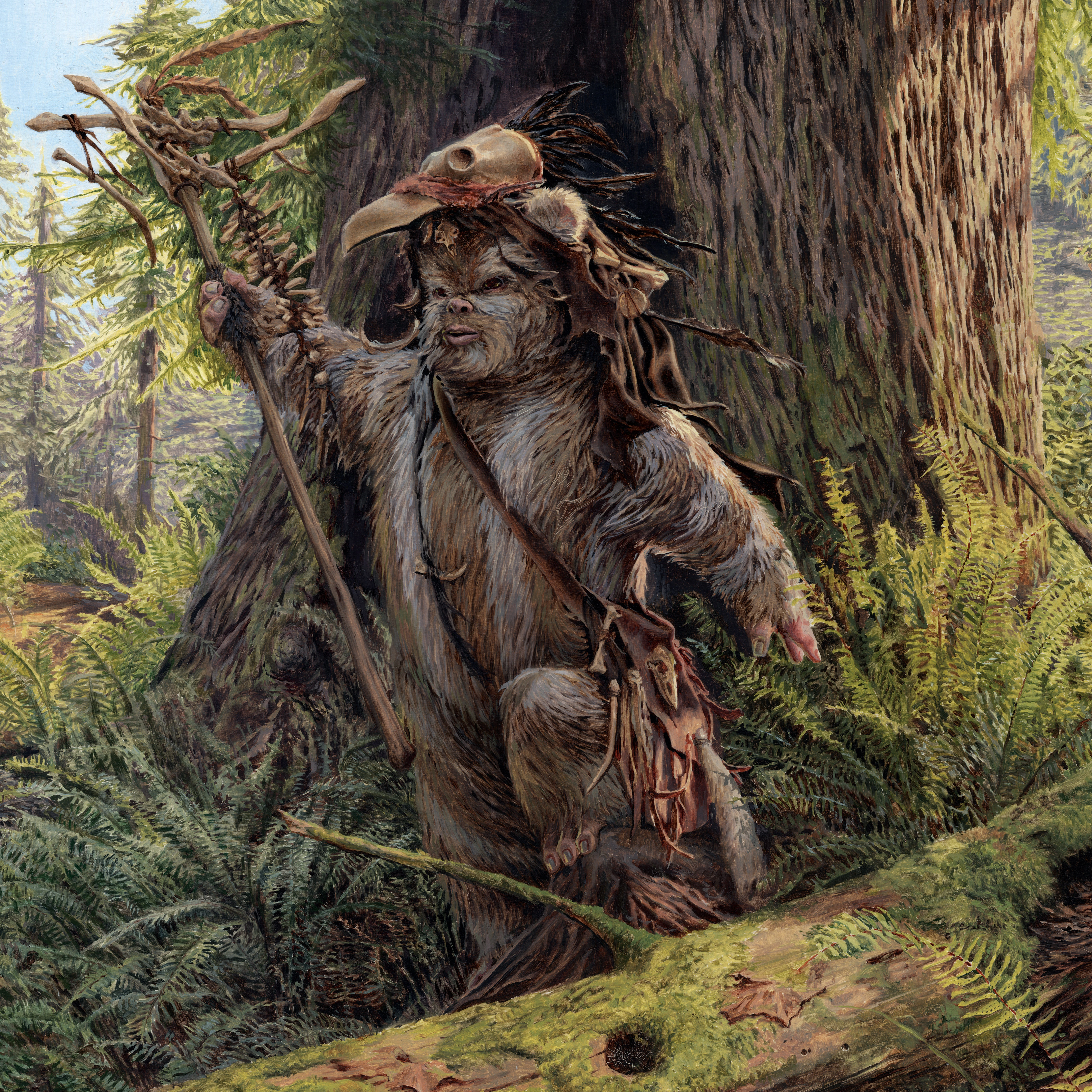 SF・ファンタジー・ホラー Star Wars Ewoks Logray Logray | Wookieepedia | Fandom