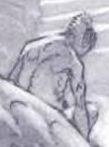 Taï appearance 