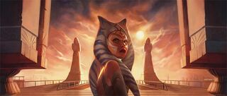 FFG-Ahsoka-leaves