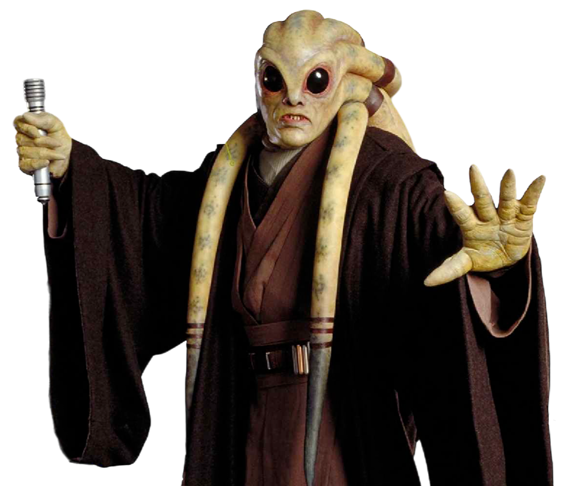 Vebb was apprenticed to Jedi Master Kit Fisto until early in the Clone Wars.