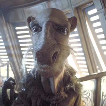 Saelt-Marae | Wookieepedia | Fandom