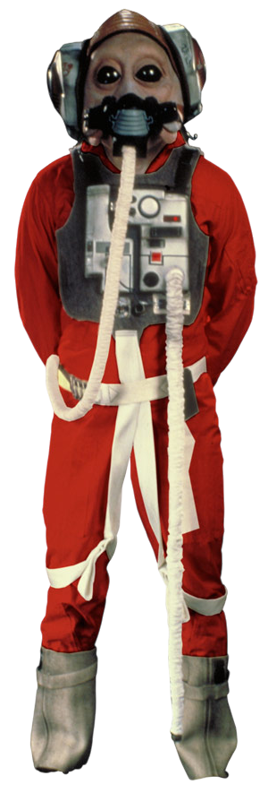 Ten Numb in a rebel flight suit