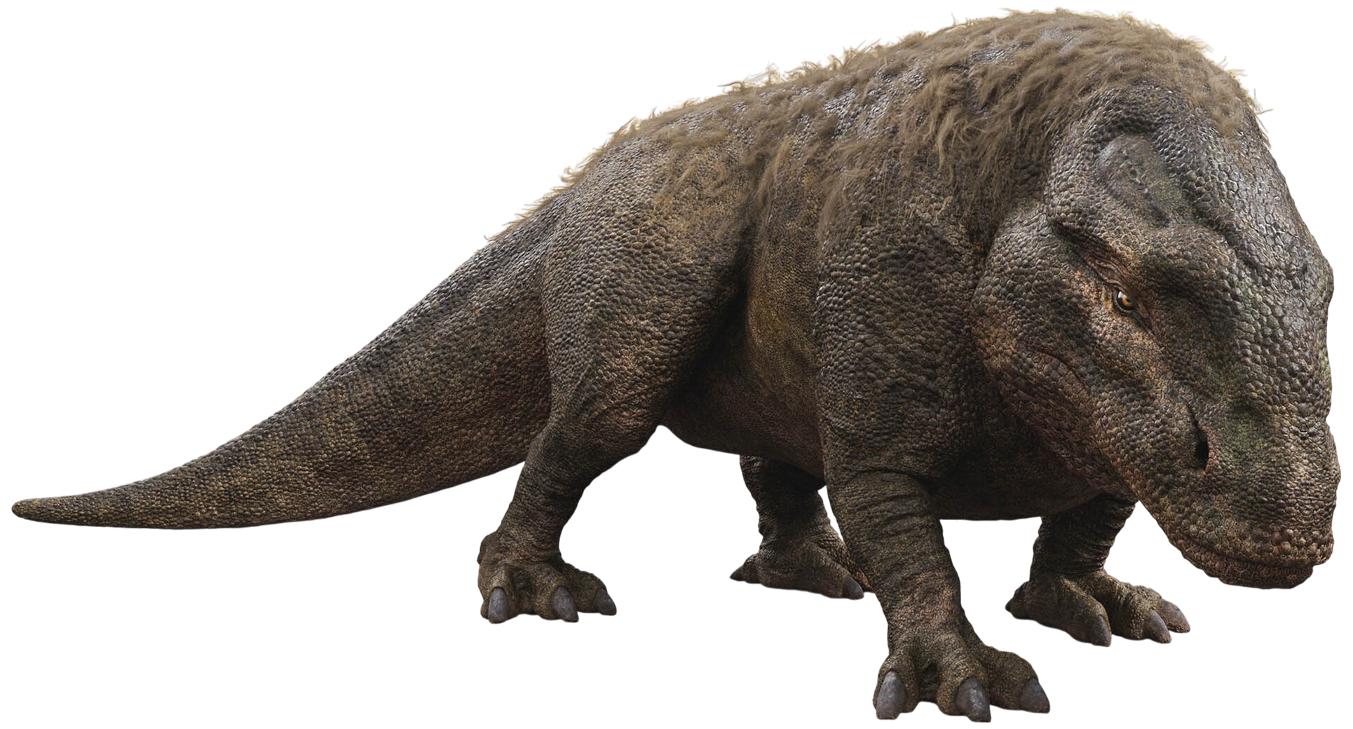 Dewback appearance 