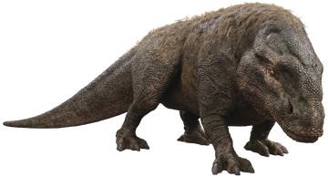 Dewback-CGSWG