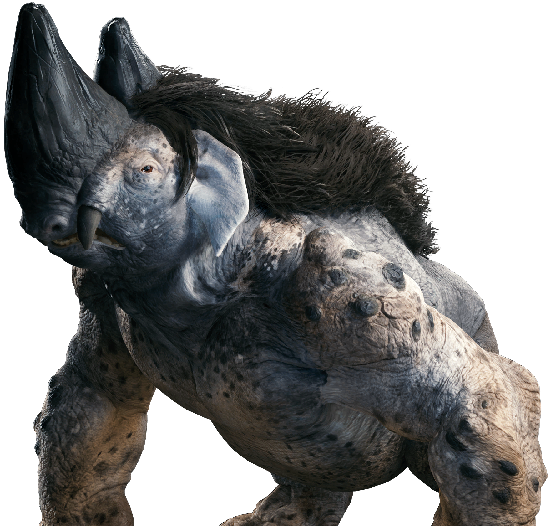 Gorocco matriarch appearance 