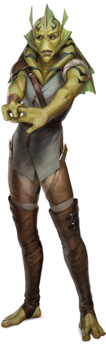 Kalleran appearance 