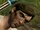 Jerridan.jpg