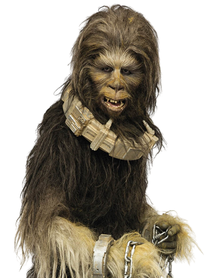 aangrenzend Verdorde buurman Sagwa | Wookieepedia | Fandom