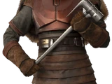 The Armorer