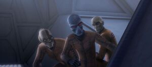 Cad Bane, Obi-Wan Kenobi (disguised as Rako Hardeen) and  in the prison hallways.