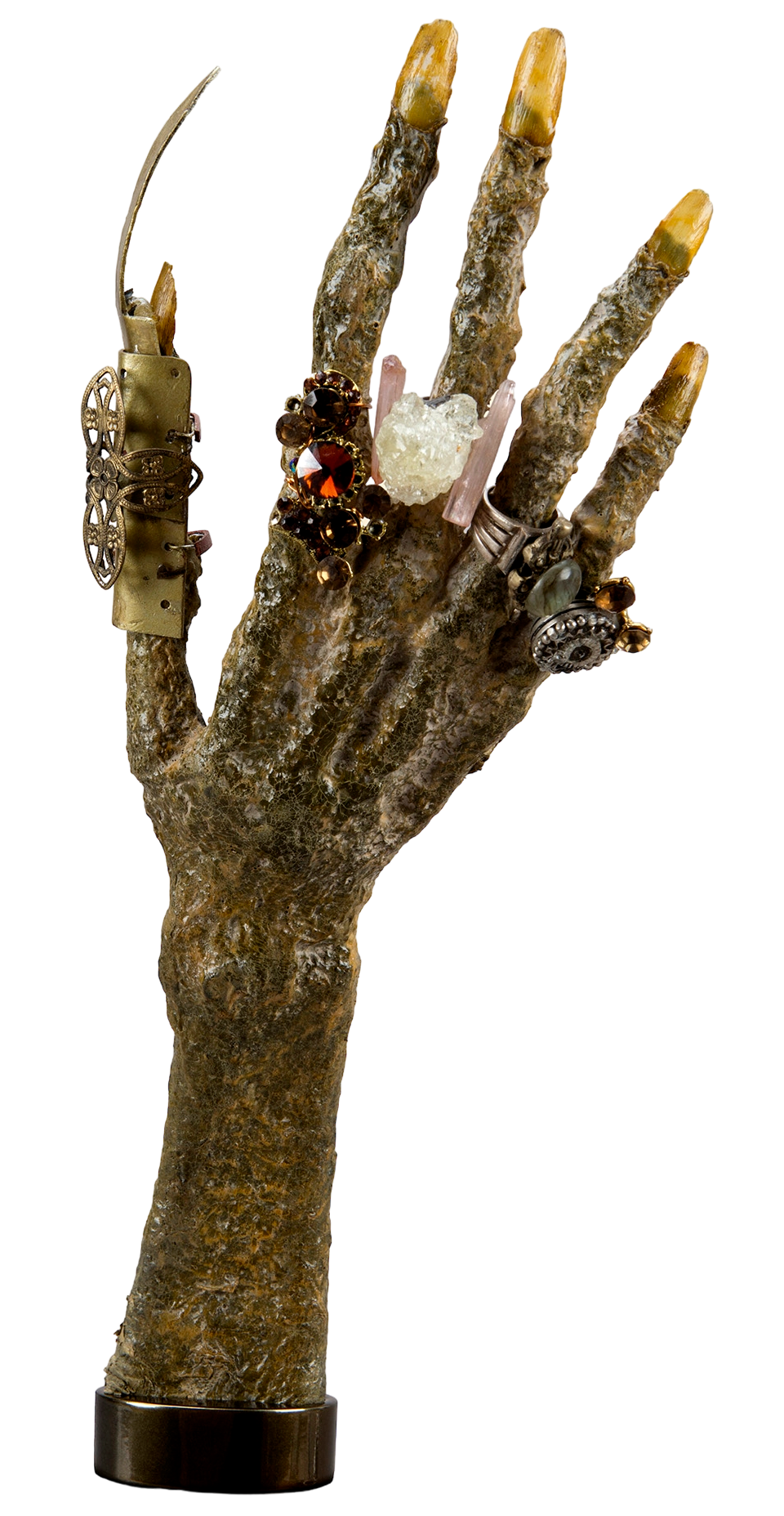 The hand of the Lost King of Duro was in Dryden Vos' collection.