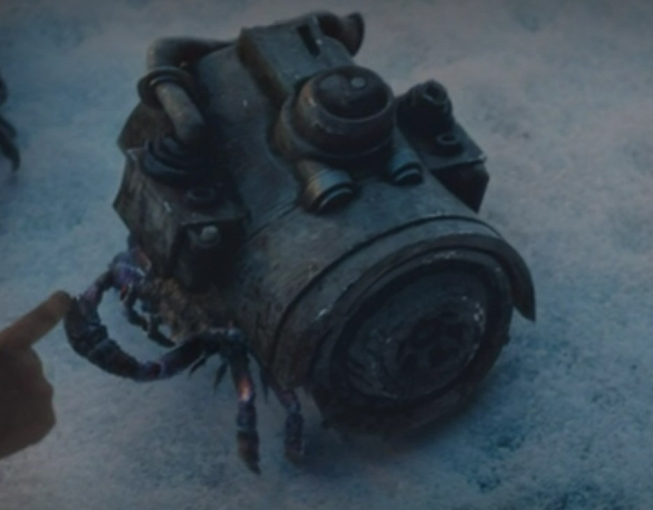 Trash crab appearance 