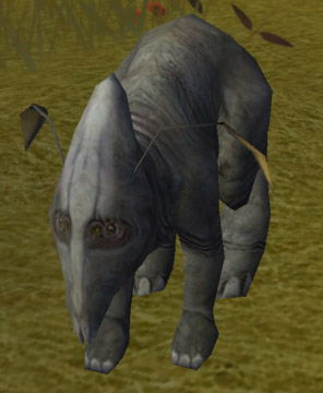 Gnort appearance 