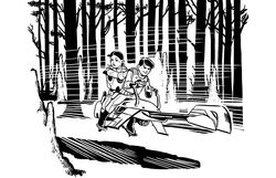 Indoumodo forests