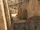 Back Alley