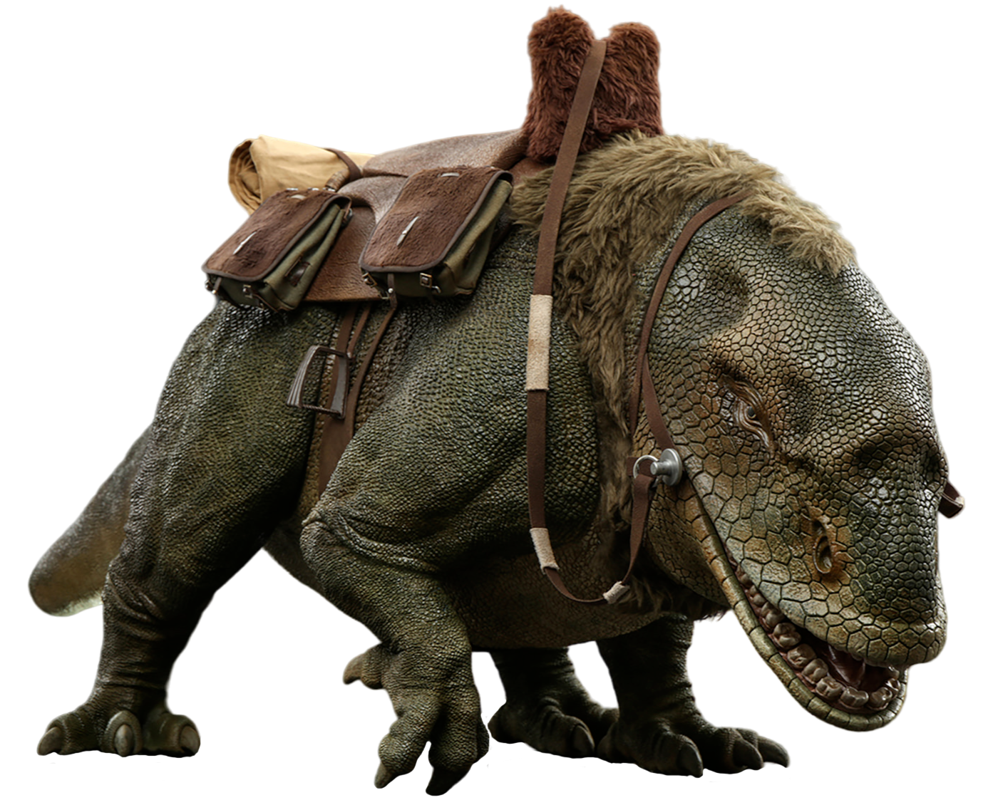 Dewback appearance in Common Appearance