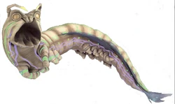 Kwazel Maw