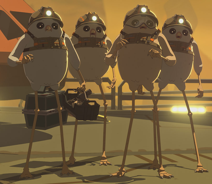 Flanx's flock appearance 