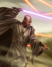 Vaapad windu