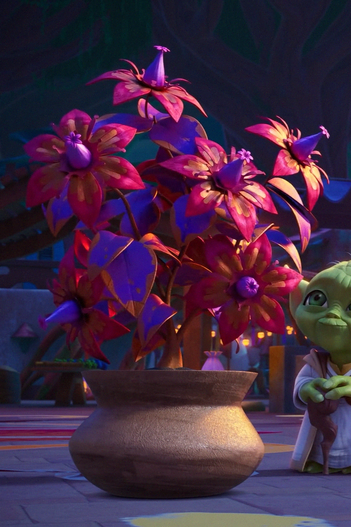 Unidentified sparkle-fire seed plant appearance 