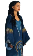 TatoonineDress-DaG.png (2.15 MB) Embroidered overcoat