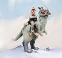 Tauntaun-TOTS