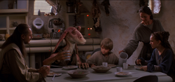 Dinner at the Skywalker home