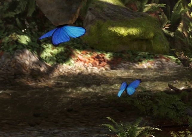 Butterfly appearance in Common Appearance