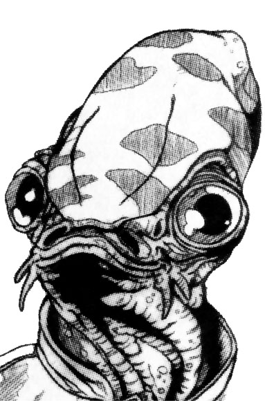 Jesmin Ackbar was a member of Wraith Squadron.