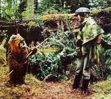 Leia Wicket Endor