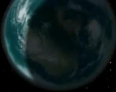 Roccus appearance 