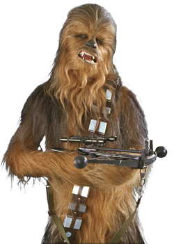 Chewie SWSB