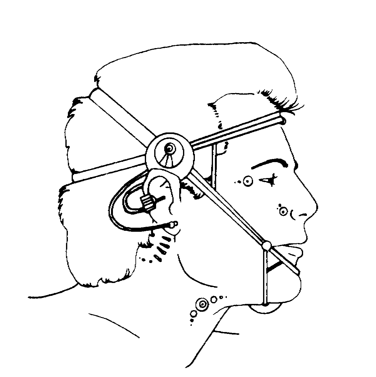 TRHA-300 Control Harness appearance in Common Appearance