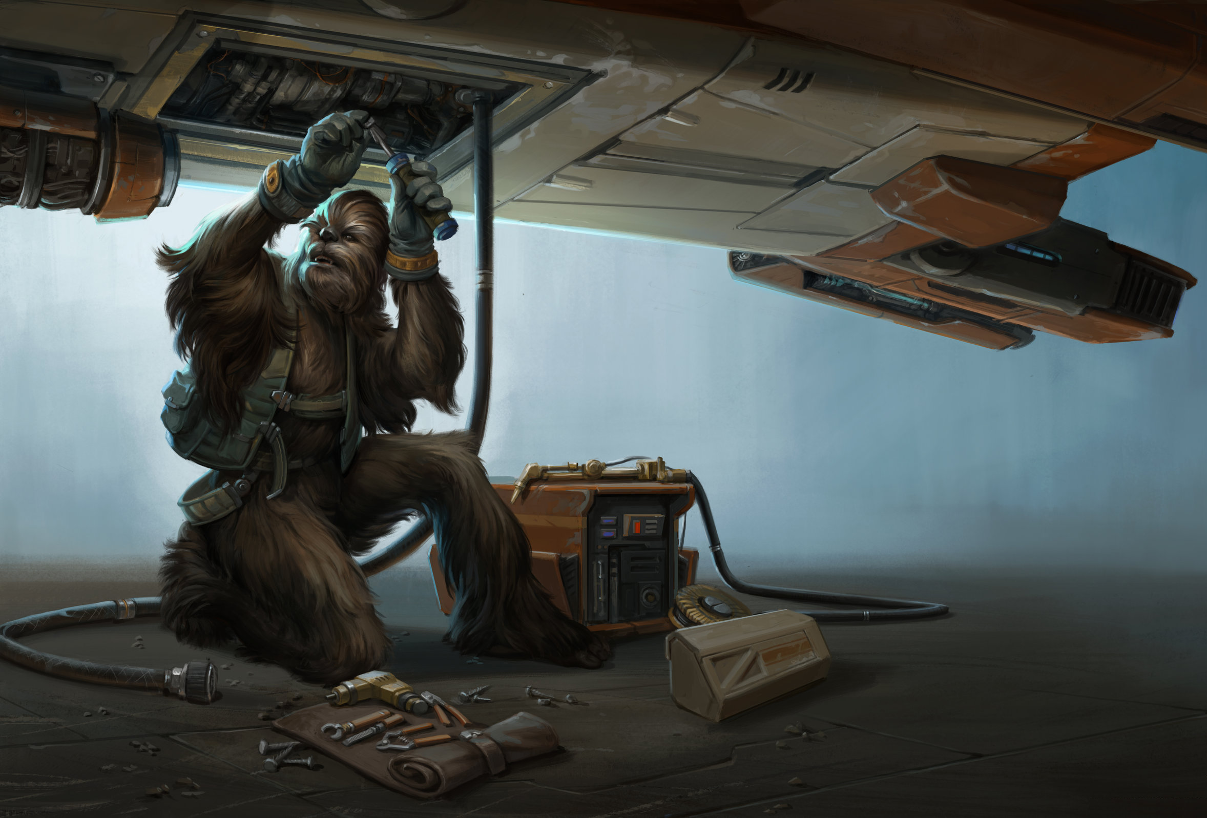 Wookiees were skilled mechanics.