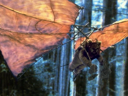 Hang glider btm