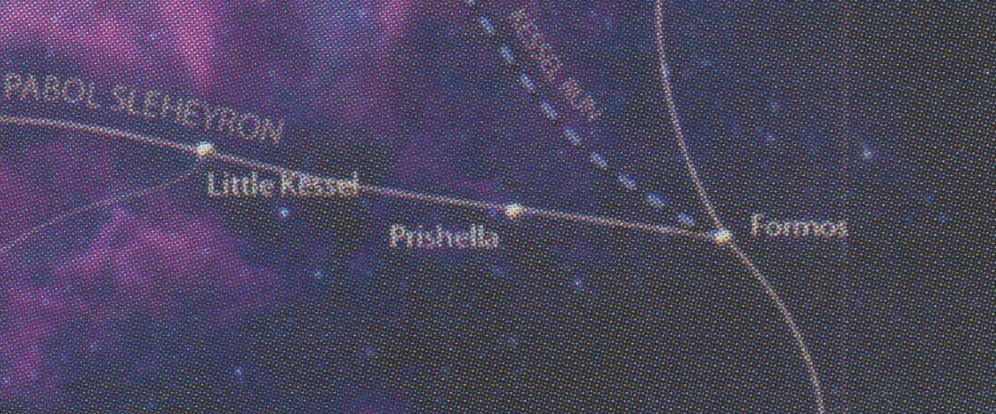 Prishella appearance in Common Appearance